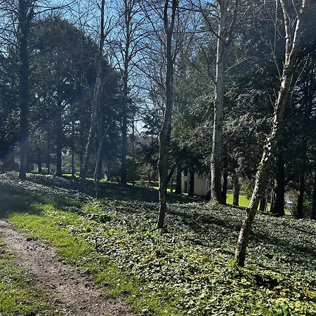 Hébergement de vacances D'exception à Avec Piscine Couverte - Fr-1-541-167 Lésigny