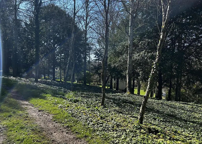 Nyaraló D'exception A Avec Piscine Couverte - Fr-1-541-167 Lésigny