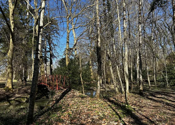 Nyaraló D'exception A Avec Piscine Couverte - Fr-1-541-167